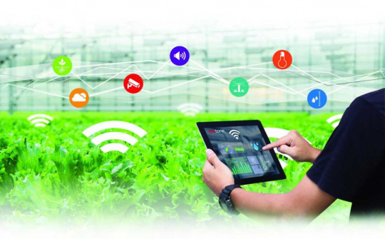 Managing the agricultural data system of Tay Ninh Province by using the ontology-based data organization method