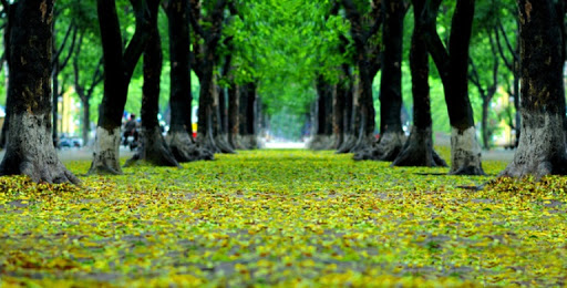 Thời tiết 26-9: Bắc bộ mưa dông trên diện rộng