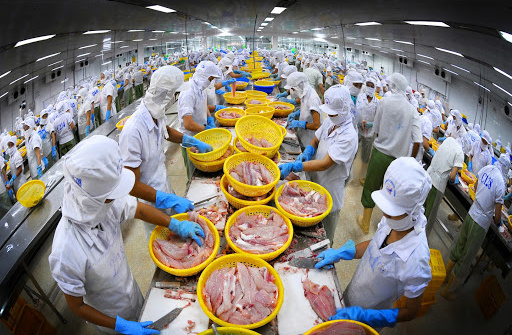 Thêm 25 cơ sở chế biến thủy sản Việt Nam được phép xuất khẩu vào thị trường Đài Loan