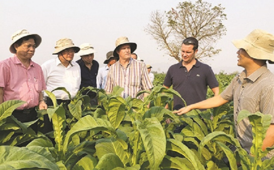 Công ty Cổ phần Hòa Việt: Đồng bộ các hoạt động về bảo vệ môi trường