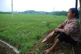 Một số vấn đề liên quan đến quyền của nông dân đối với ruộng đất