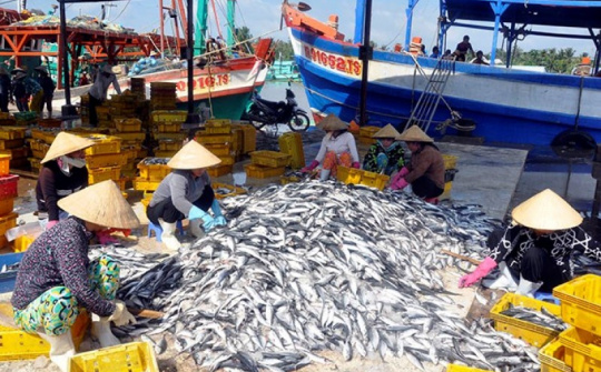 Phát triển bền vững ngành thủy sản nước lợ ở huyện Thăng Bình, tỉnh Quảng Nam