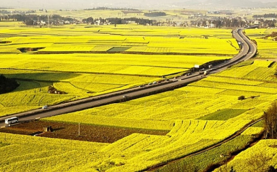 Chính sách tạo việc làm cho người dân vùng bị thu hẹp đất nông nghiệp: Kinh nghiệm của một số địa phương và gợi ý cho tỉnh Vĩnh Phúc