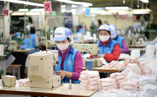 Cấp trên 7.200 bộ C/O sau 1 tháng thực thi EVFTA