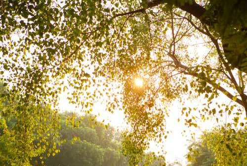 Thời tiết 6-9: Kết thúc đợt nắng, Bắc Bộ bước vào đợt mưa dông