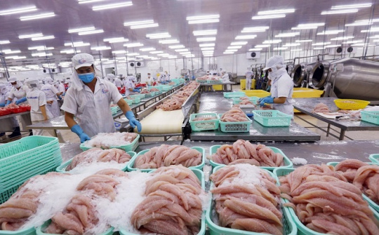 Thuế nhập khẩu giảm, lợi thế của thủy sản Việt Nam vào EU