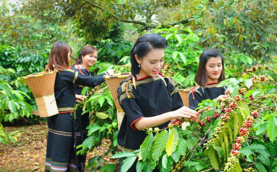 Hiệu quả kinh tế - xã hội của Chương trình 135 ở Tây Nguyên - Nghiên cứu điển hình tại tỉnh Đắk Lắk