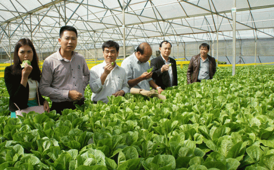 Bộ trưởng Trần Tuấn Anh: Tổ chức sản xuất mới là số 1