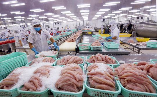 Tích hợp chuỗi giá trị thủy sản