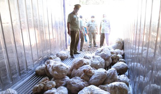 Phát hiện kho đông lạnh chứa trên 16 tấn thịt gia cầm đã bốc mùi tại Bình Phước