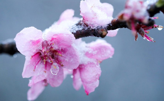 Thời tiết 12-1: Miền Bắc tiếp tục rét đậm, rét hại, trưa chiều hửng nắng