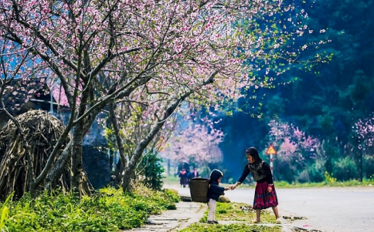 Thời tiết 15-1: Miền Bắc nắng ấm, nền nhiệt tăng nhẹ