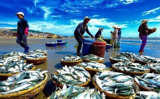 Lào chuyển hướng thị trường nhập khẩu, cơ hội cho hải sản Việt Nam