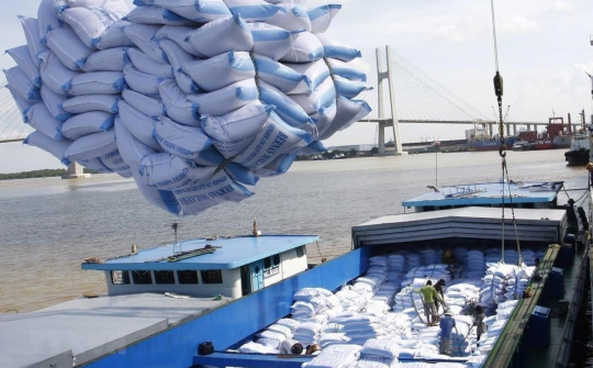 Cả nước có 205 thương nhân đủ điều kiện kinh doanh xuất khẩu gạo