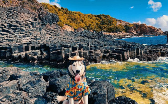 Bamboo Airways chính thức khai trương đường bay Tuy Hòa - TP. Hồ Chí Minh