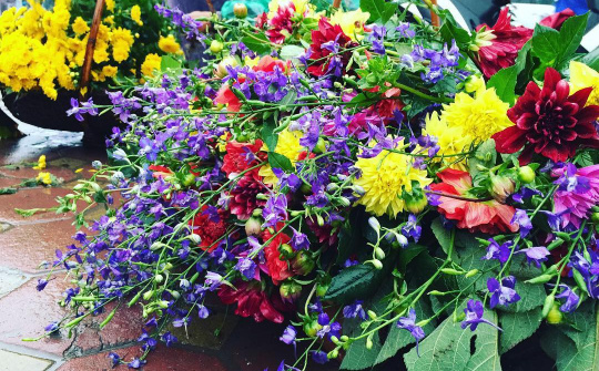 Thời tiết 23-1: Bắc bộ sáng sớm trời rét, trưa chiều hửng nắng, nhiệt độ tăng nhẹ