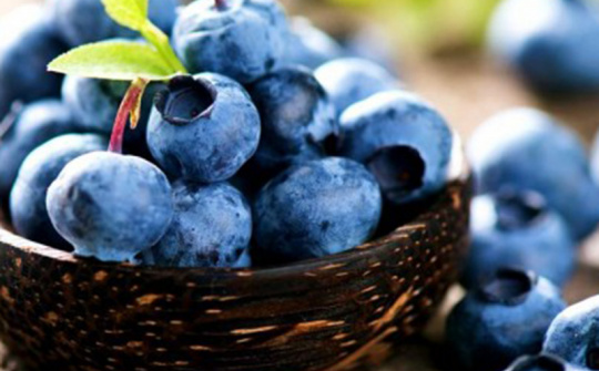 12 loại trái cây có lợi để ăn trong và sau khi điều trị ung thư