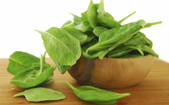 Application of solid phase extraction cleanup with MnO2 nanomaterial as sorbent for the determination of carbaryl and carbofuran in spinach followed by HPLC/UV