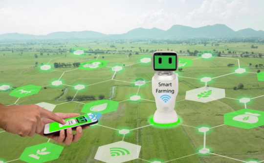 Một số chính sách và giải pháp phát triển nông nghiệp công nghệ cao ở Thành phố Hà Nội