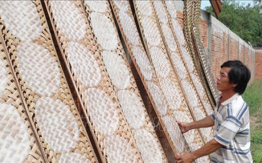 Làng nghề làm bánh, mứt nhộn nhịp dịp Tết