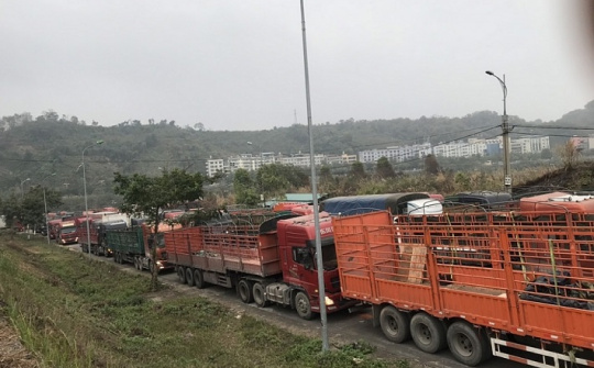 Tăng thời gian mở cửa khẩu Kim Thành, Lào Cai lên 22 giờ để giảm ùn tắc
