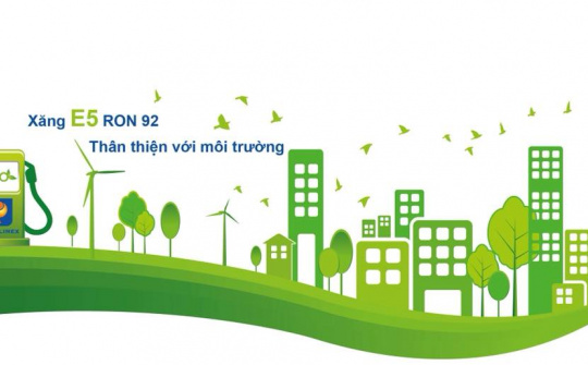 Các yếu tố ảnh hưởng đến việc chọn mua xăng sinh học E5 của khách hàng cá nhân trên địa bàn thành phố Cà Mau
