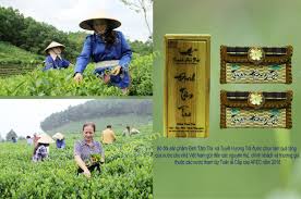 Hoàn thiện hệ thống quản trị quan hệ khách hàng trong các doanh nghiệp xuất khẩu chè Việt Nam