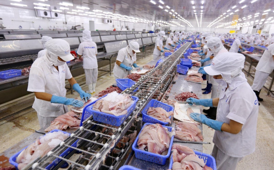 Kết quả POR16: Hai doanh nghiệp Việt được hưởng thuế chống bán phá giá 0% với cá tra sang Hoa Kỳ