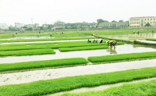 EVN chuẩn bị sẵn sàng phục vụ xả nước đổ ải vụ Đông Xuân
