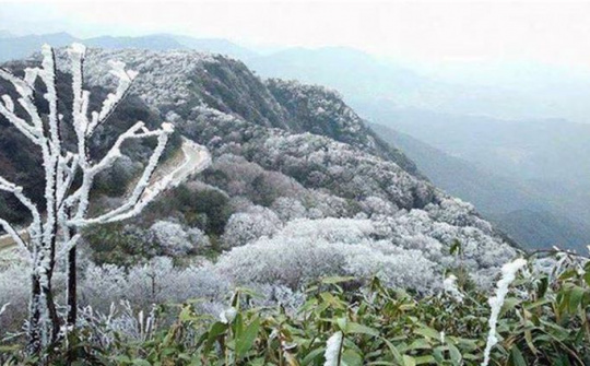 Thời tiết 9-1: Nằm sâu trong đợt rét đậm, rét hại, miền núi phía Bắc xuất hiện băng tuyết