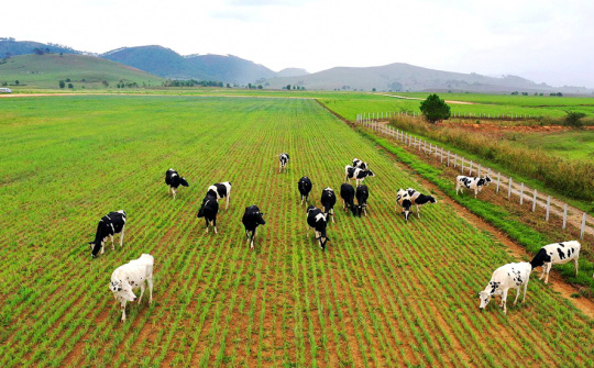 Đề xuất mô hình nghiên cứu các nhân tố ảnh hưởng đến hành vi ứng dụng công nghệ cao trong ngành chăn nuôi