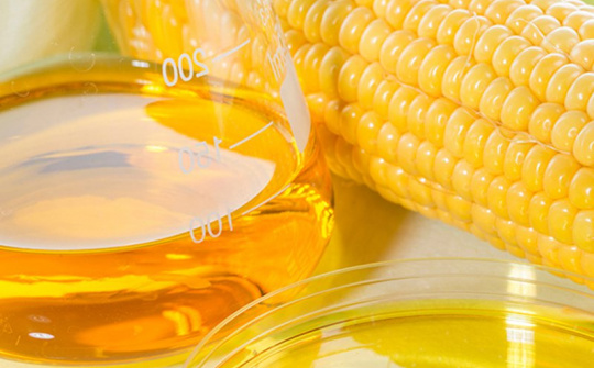 Bộ Công Thương hoàn tất điều tra chống bán phá giá đường lỏng chiết xuất từ tinh bột ngô