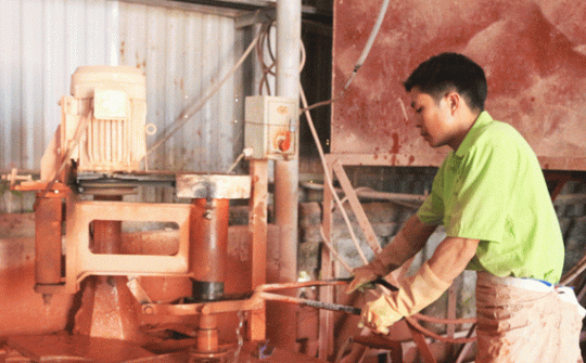 Hỗ trợ doanh nghiệp chiếm lĩnh thị trường trong nước