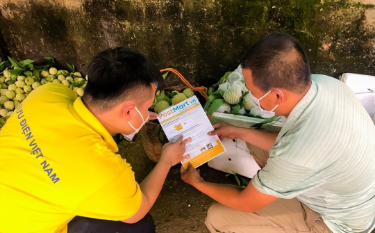 Bảo vệ người tiêu dùng trong thương mại điện tử xuyên biên giới