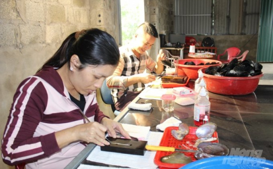 Pearlfarm khởi nghiệp được xây dựng từ chính trải nghiệm