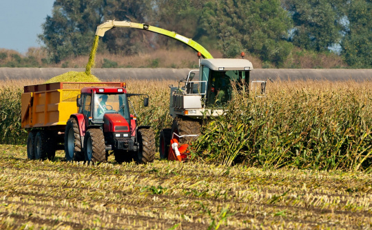 Thị trường nông sản thế giới ghi nhận tuần giao dịch tích cực