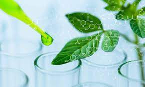 Giảng dạy và ứng dụng Hóa học xanh tại Đại học Công nghiệp Hà Nội