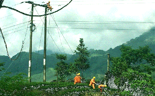 “Điện đi trước một bước” tạo sự đổi thay mạnh mẽ