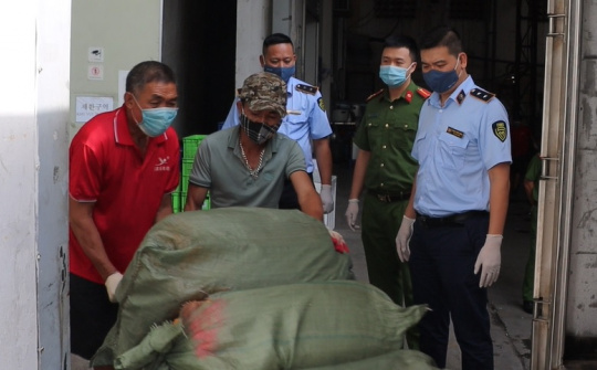 Quản lý thị trường Hà Nội tiêu hủy 7 tấn nầm lợn không nguồn gốc