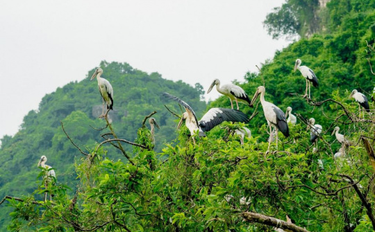 Yếu tố ảnh hưởng đến sự hài lòng của du khách tại điểm đến Thung Nham - Ninh Bình