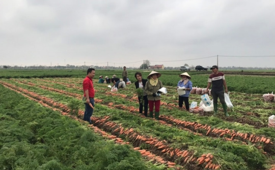 Làn gió mới trong cộng đồng doanh nghiệp Thủ đô