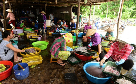 Hỗ trợ ngư dân bám đảo, bám biển