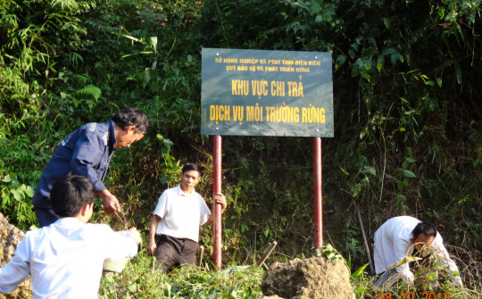 Phát huy hiệu quả chính sách chi trả dịch vụ môi trường rừng