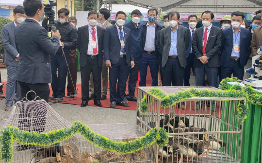 Giới thiệu công nghệ mới tại Hội thi Vịt Cỏ Vân Đình lần thứ nhất