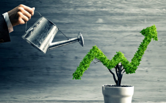 Pháp luật về trách nhiệm xã hội của doanh nghiệp trong vấn đề chuyển dịch lao động phi chính thức làm việc trong các doanh nghiệp thành lao động chính thức