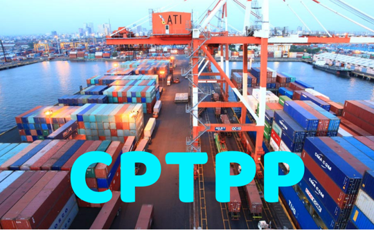 Bổ sung quy định áp dụng Biểu thuế xuất nhập khẩu ưu đãi theo Hiệp định CPTPP