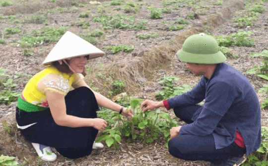 Mở cơ hội việc làm, thị trường ở các xã thuộc vùng đồng bào dân tộc thiểu số