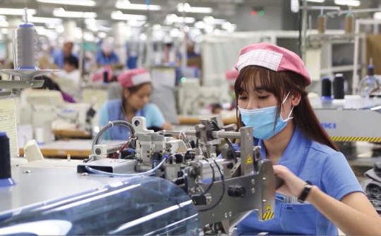 Tháng 11, cả nước có gần 12.000 doanh nghiệp thành lập mới