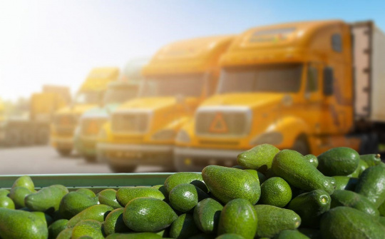 Phát triển dịch vụ Logistics trên địa bàn tỉnh Đắk Nông