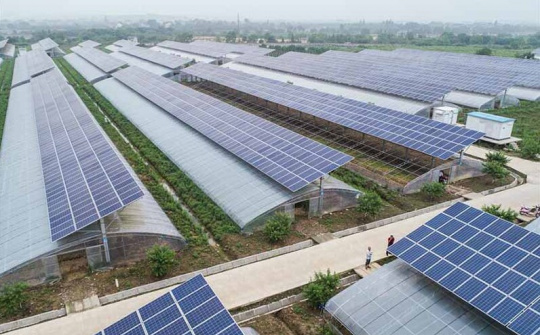 Tiềm năng kết hợp sản xuất nông nghiệp với khai thác năng lượng mặt trời tại Việt Nam